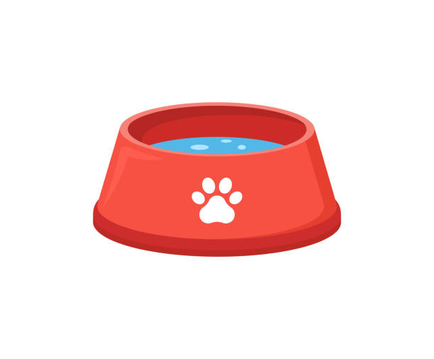 Cat Bowl Clipart - KibrisPDR