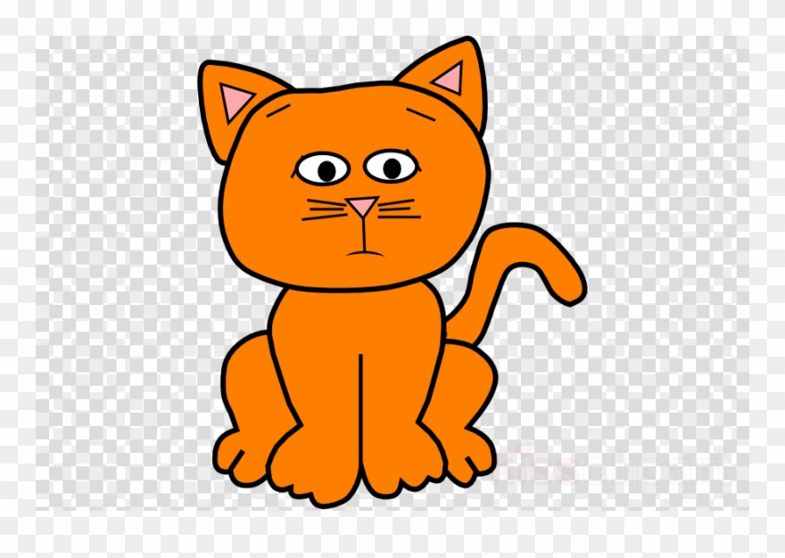 Detail Cat Clear Background Nomer 29