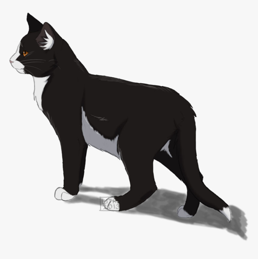 Detail Cat Clear Background Nomer 33