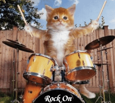 Detail Cat Drum Meme Nomer 12