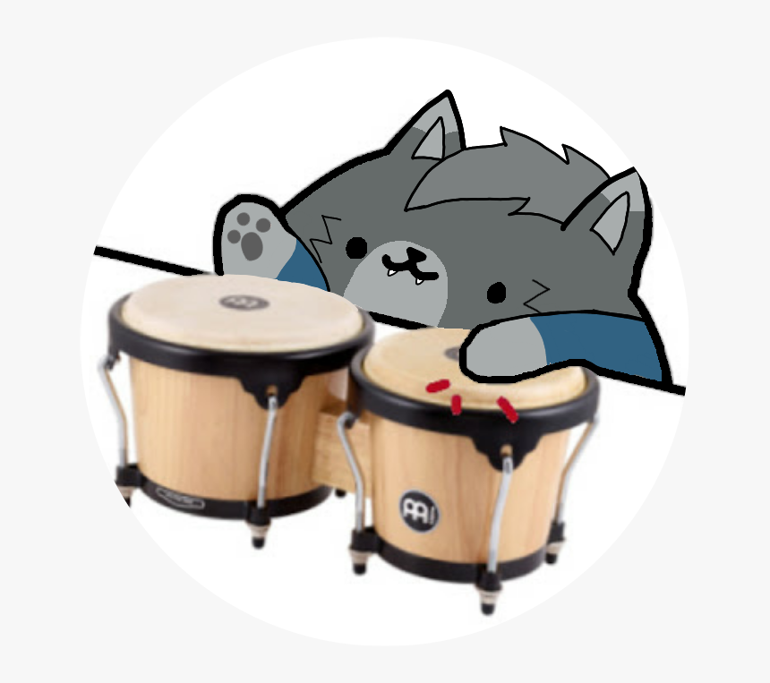 Detail Cat Drum Meme Nomer 29