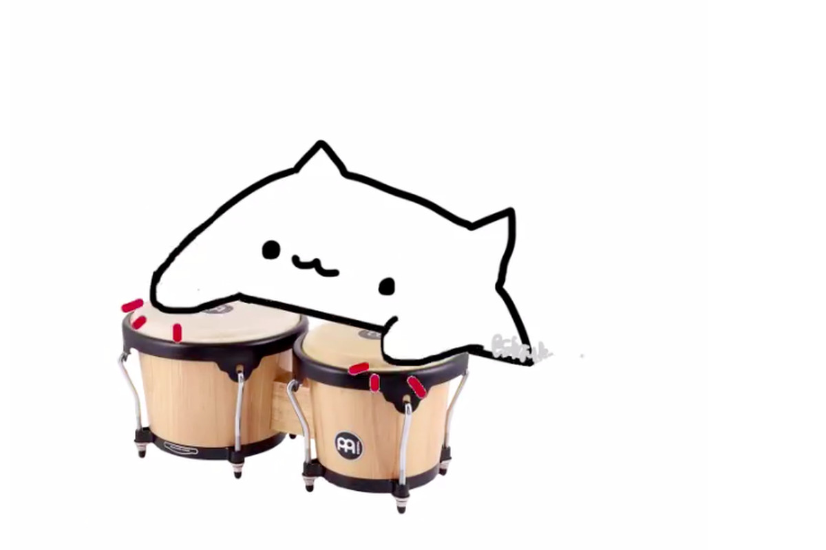Detail Cat Drum Meme Nomer 5