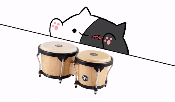 Detail Cat Drum Meme Nomer 7