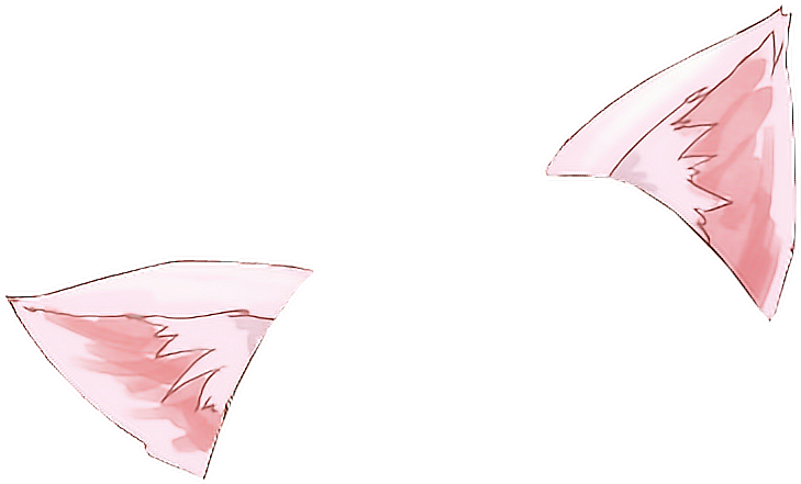 Detail Cat Ears Transparent Background Nomer 18