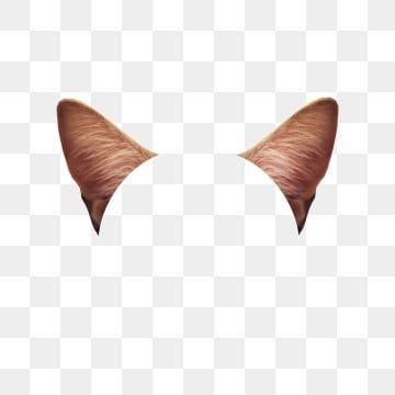 Detail Cat Ears Transparent Background Nomer 22