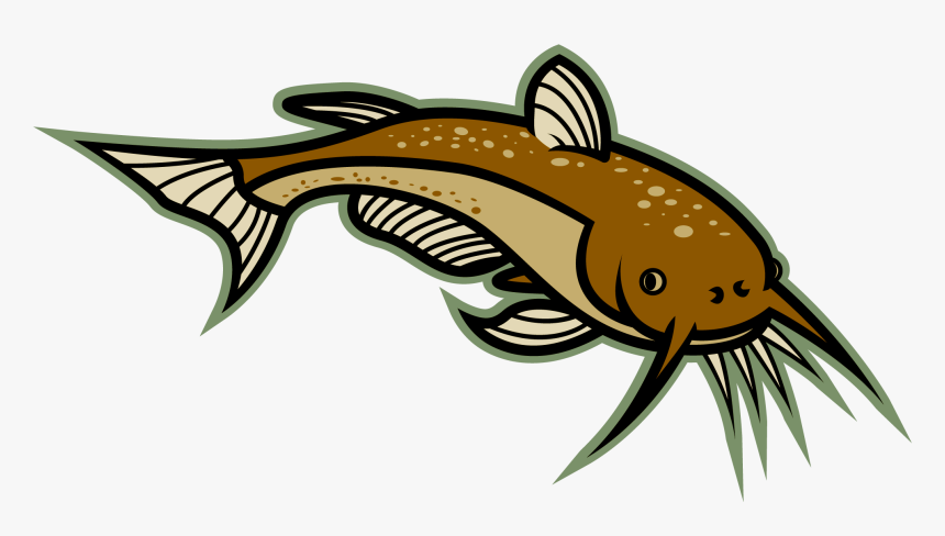 Detail Cat Fish Png Nomer 17
