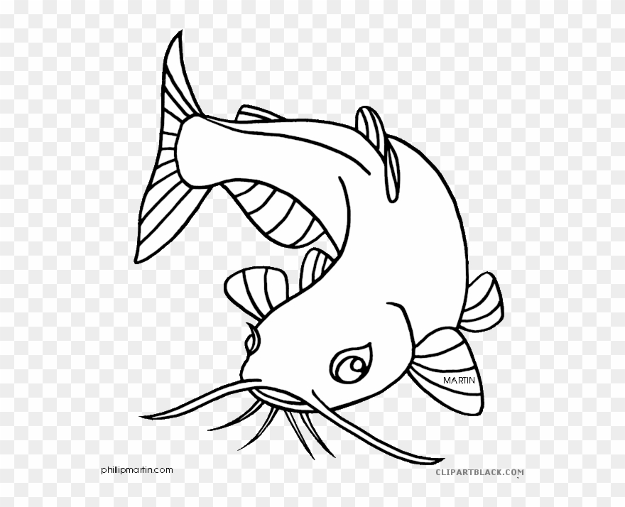 Detail Cat Fish Png Nomer 24