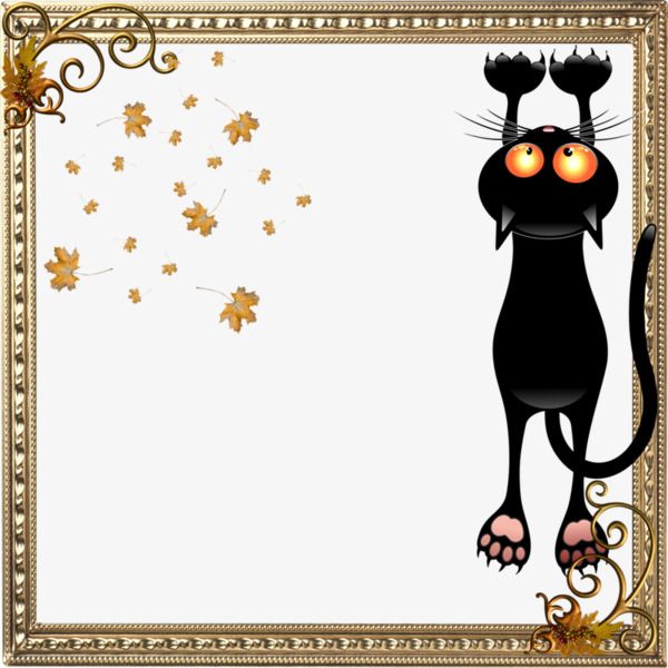 Detail Cat Frame Clipart Nomer 45