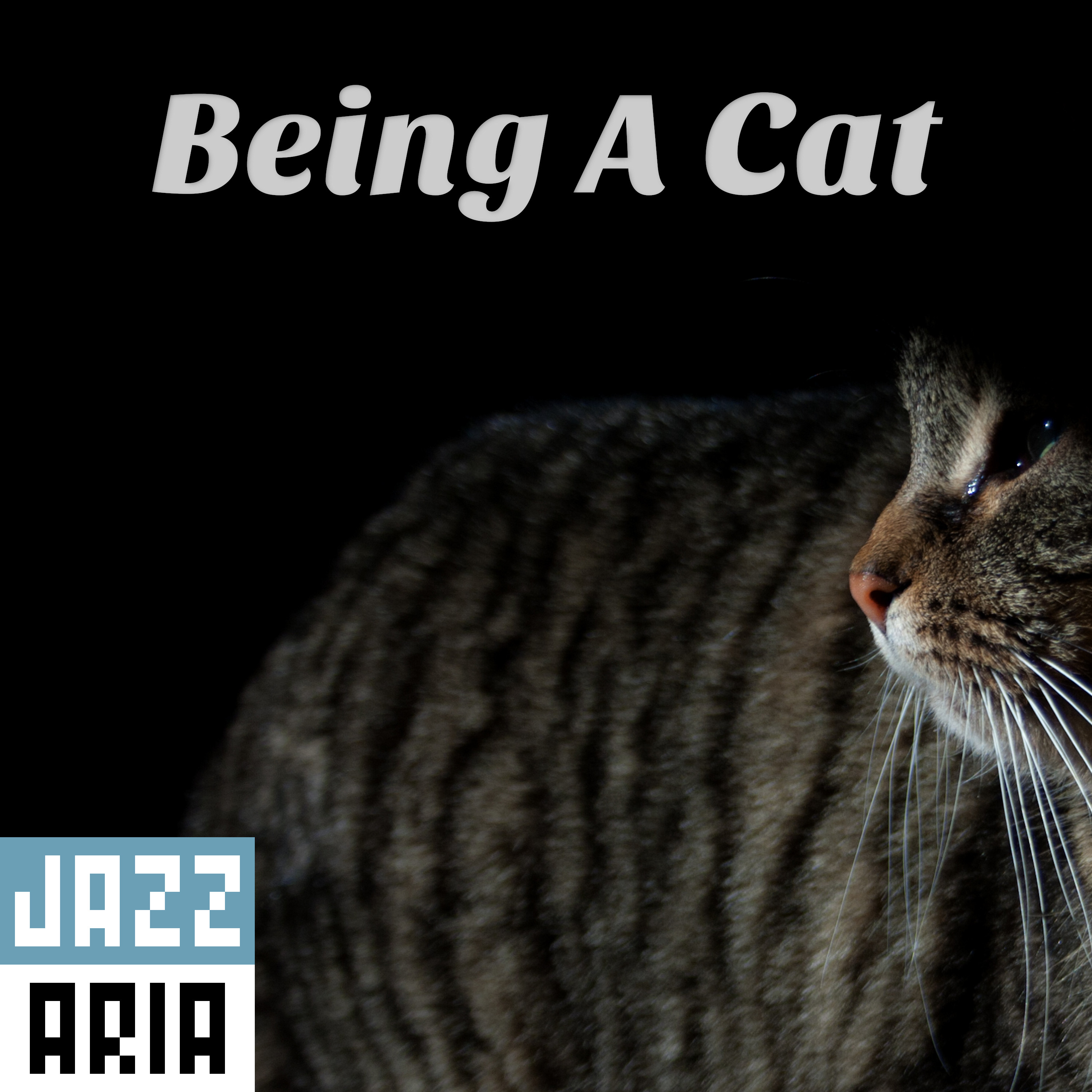 Detail Cat Free Download Nomer 41