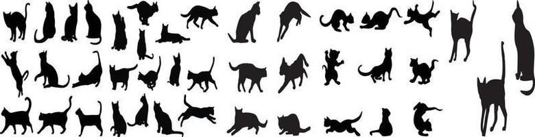 Detail Cat Free Download Nomer 56