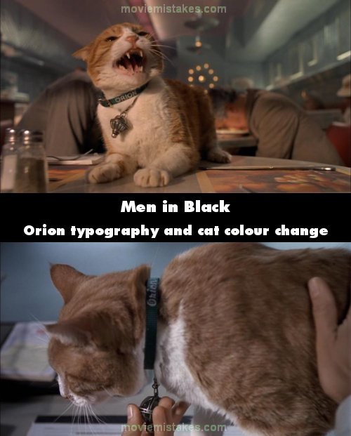 Detail Cat From Men In Black Nomer 7