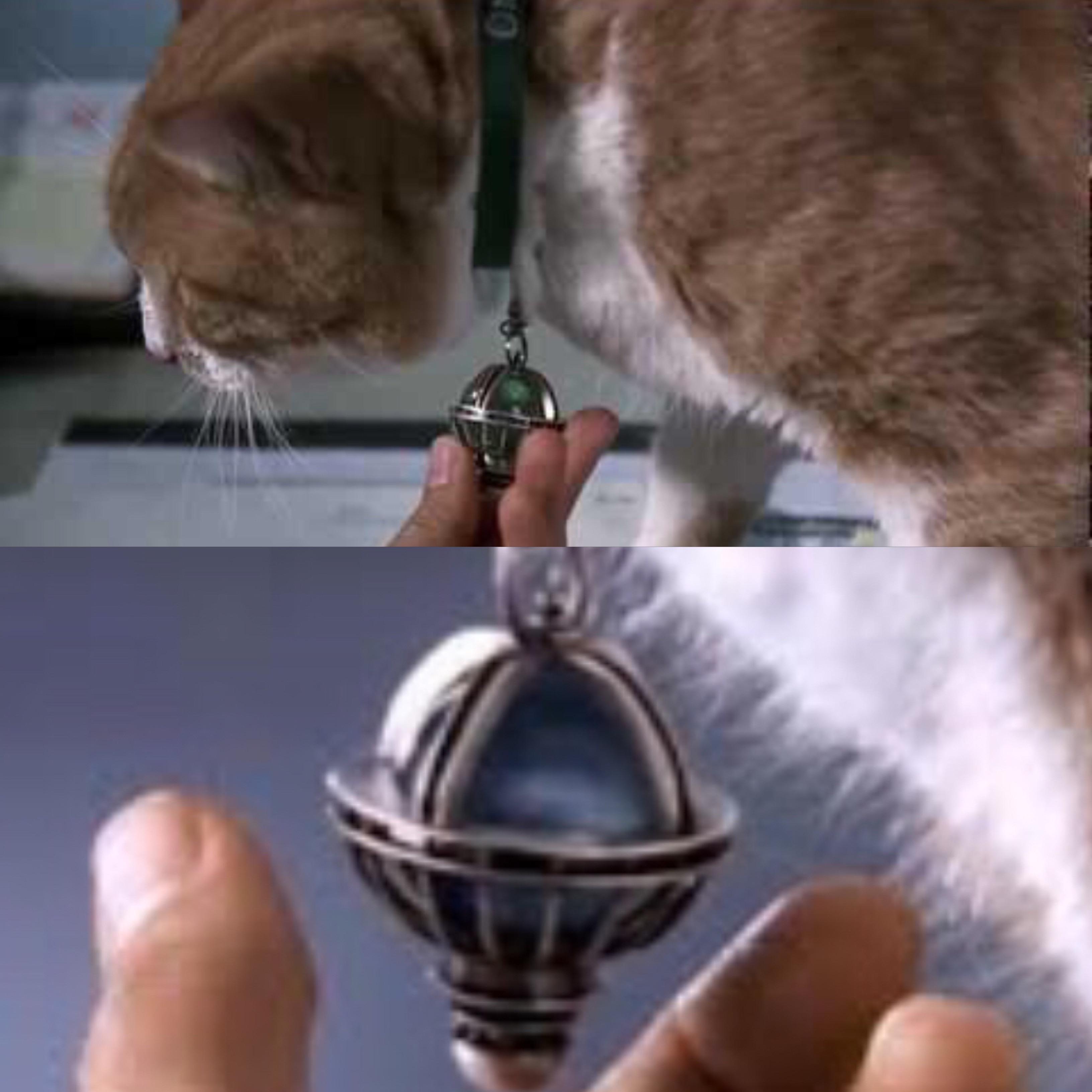 Detail Cat From Men In Black Nomer 8