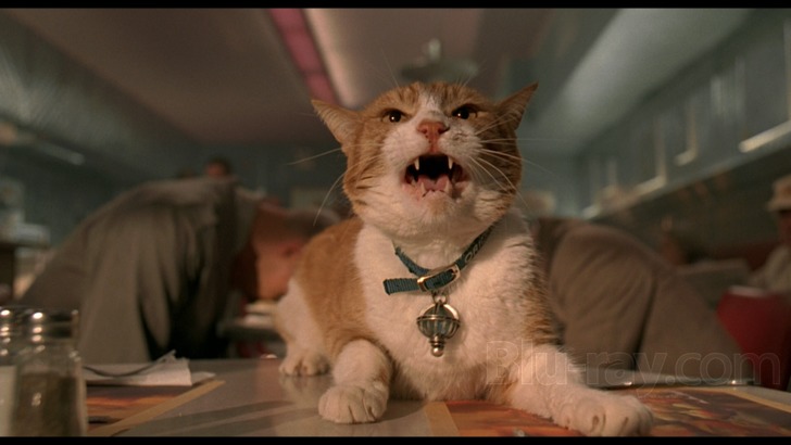 Detail Cat From Men In Black Nomer 10