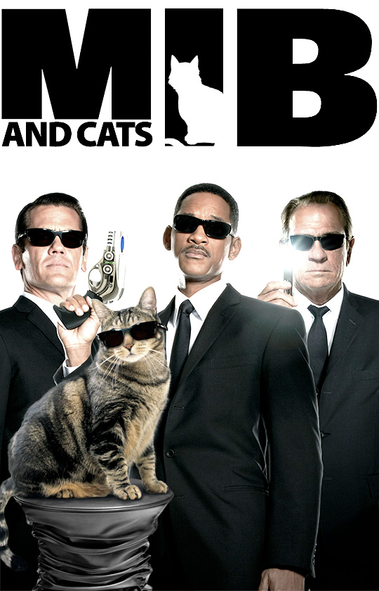 Detail Cat From Men In Black Nomer 11