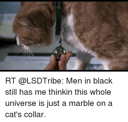 Detail Cat From Men In Black Nomer 29