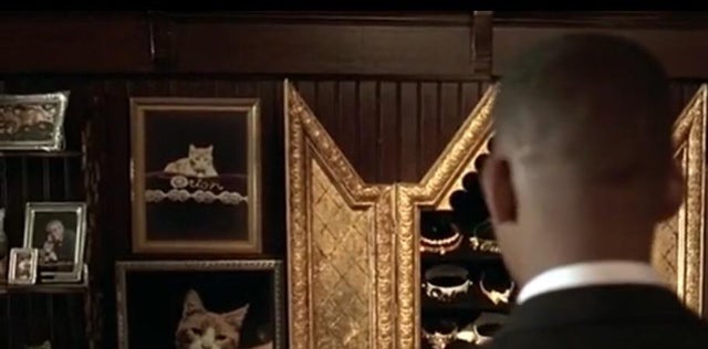 Detail Cat From Men In Black Nomer 30