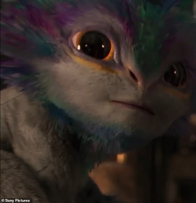 Detail Cat From Men In Black Nomer 37