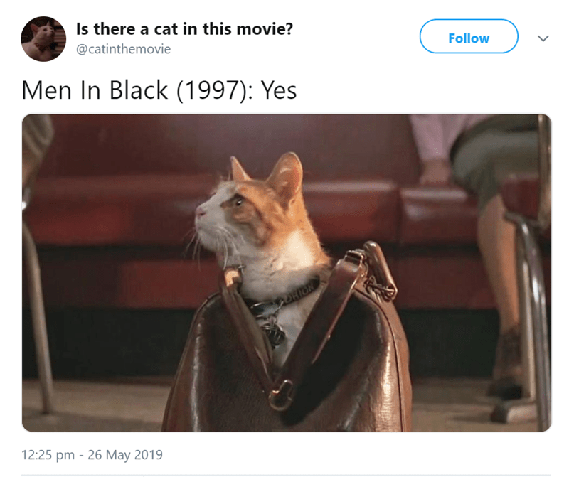 Detail Cat From Men In Black Nomer 40