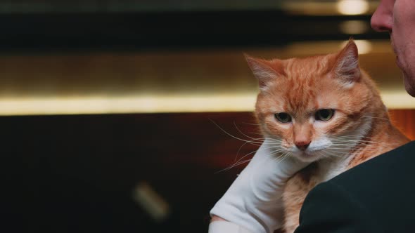 Detail Cat From Men In Black Nomer 41
