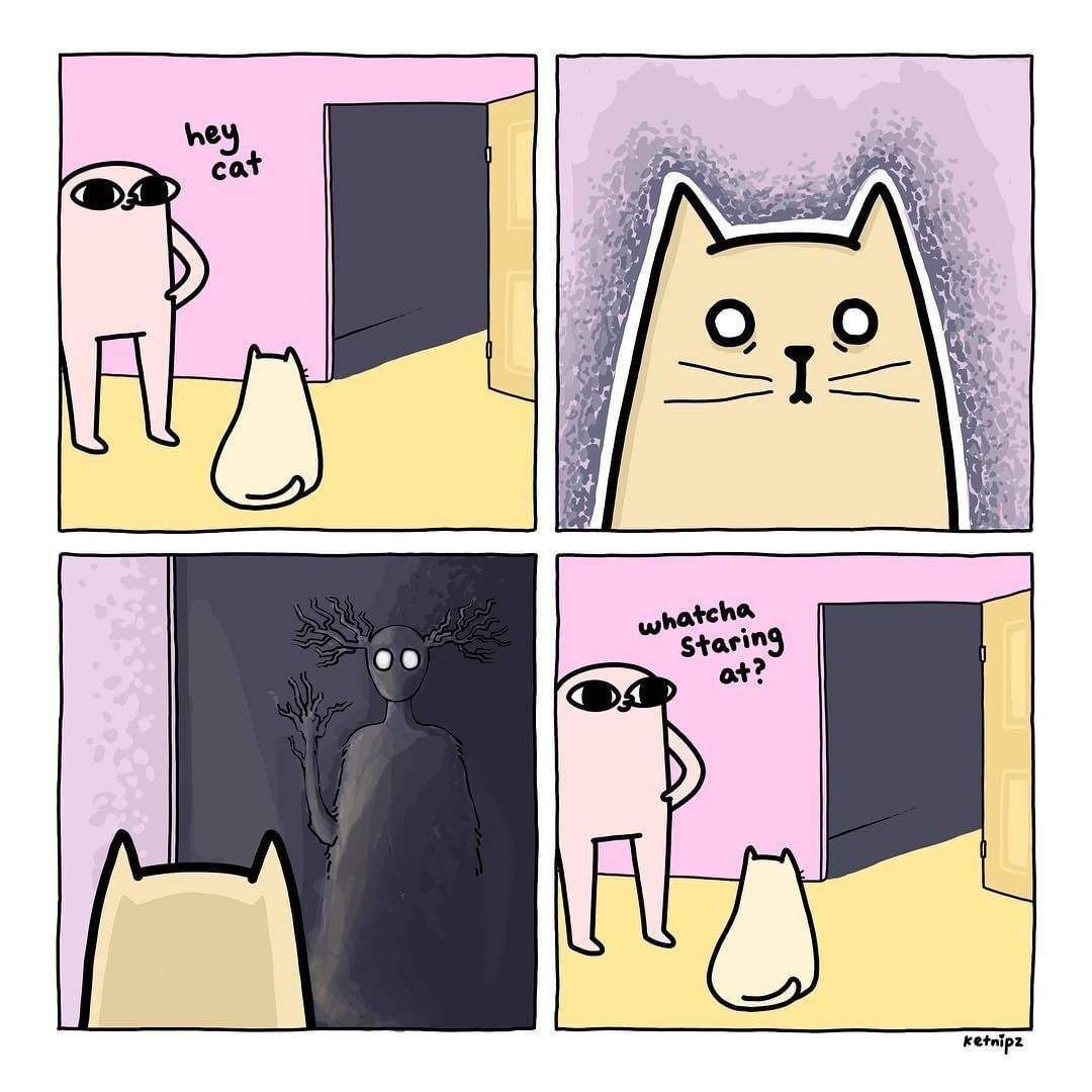 Detail Cat Ghost Meme Nomer 11