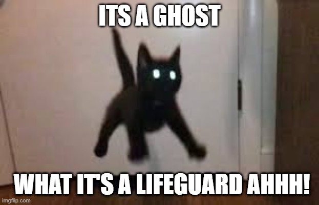 Detail Cat Ghost Meme Nomer 12