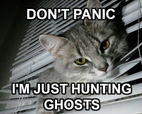 Detail Cat Ghost Meme Nomer 19
