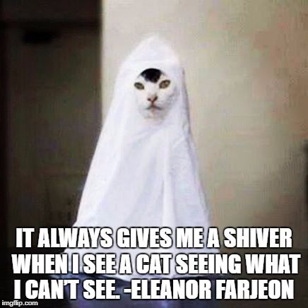 Detail Cat Ghost Meme Nomer 3
