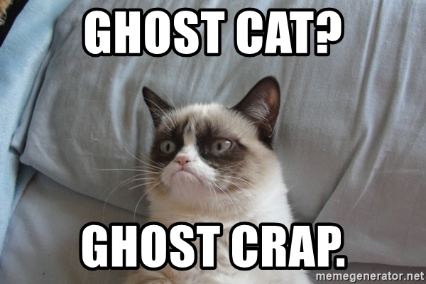 Detail Cat Ghost Meme Nomer 27
