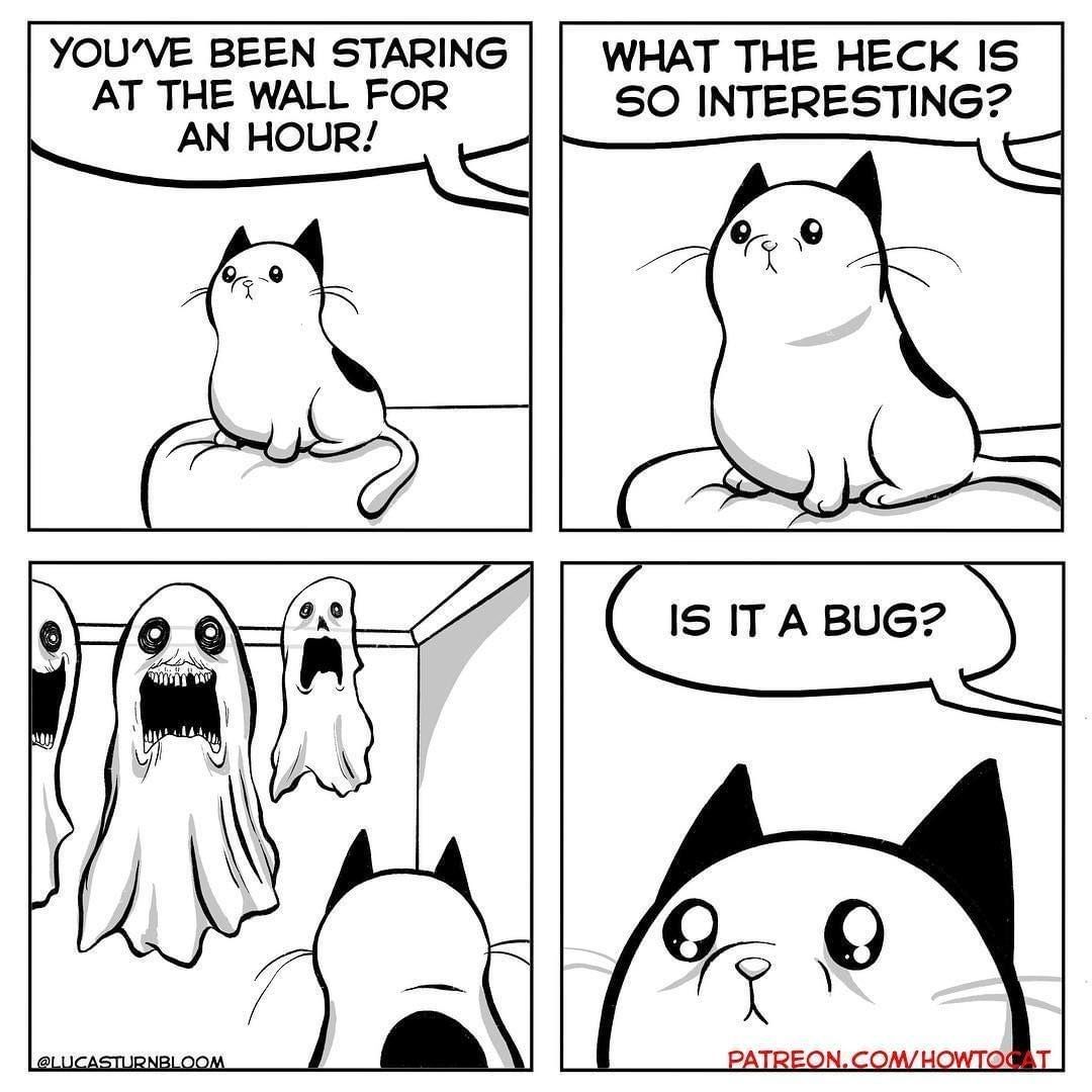 Detail Cat Ghost Meme Nomer 4