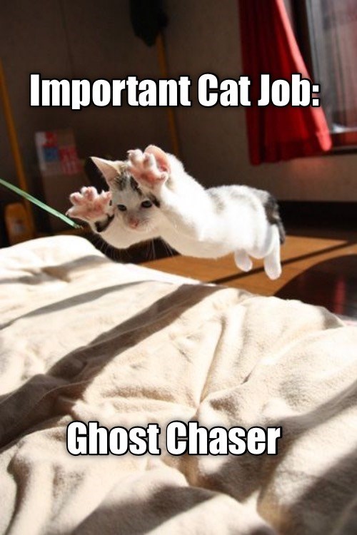 Detail Cat Ghost Meme Nomer 30