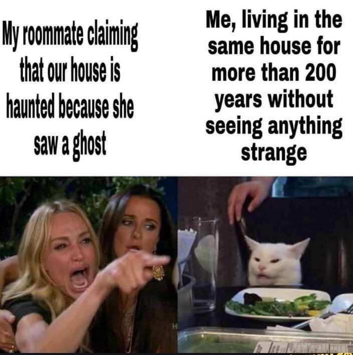 Detail Cat Ghost Meme Nomer 32