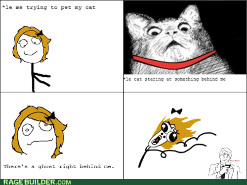 Detail Cat Ghost Meme Nomer 34