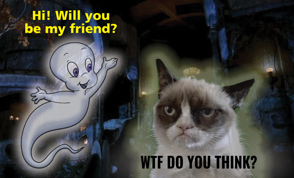 Detail Cat Ghost Meme Nomer 40