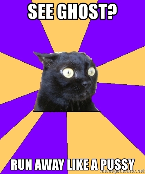 Detail Cat Ghost Meme Nomer 49