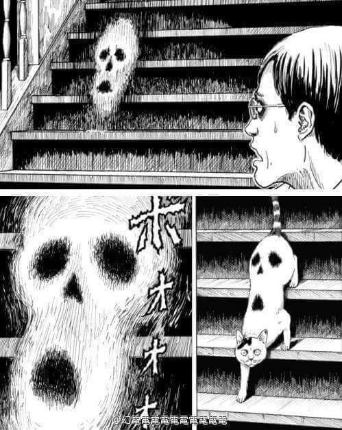 Detail Cat Ghost Meme Nomer 50