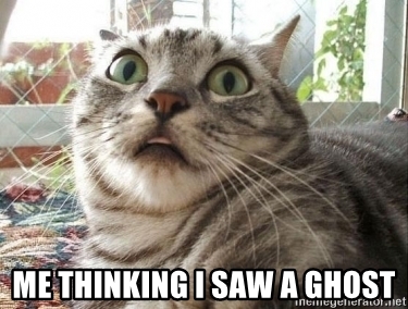 Download Cat Ghost Meme Nomer 54