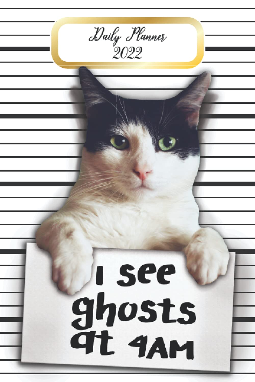Detail Cat Ghost Meme Nomer 55