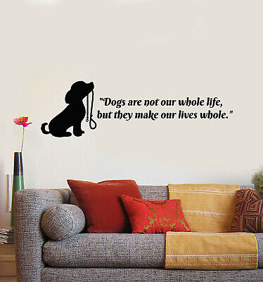 Detail Cat Grooming Quotes Nomer 23