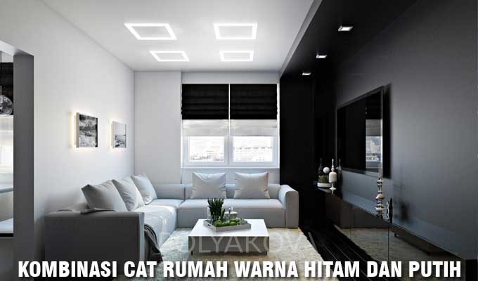 Detail Cat Hitam Putih Nomer 50