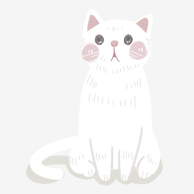 Detail Cat Illustration Png Nomer 2