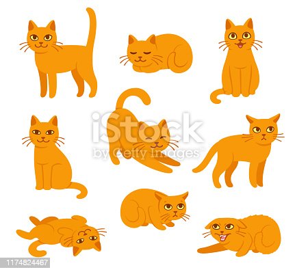 Detail Cat Images Clip Art Nomer 22