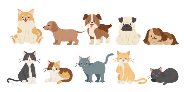 Detail Cat Images Clip Art Nomer 48