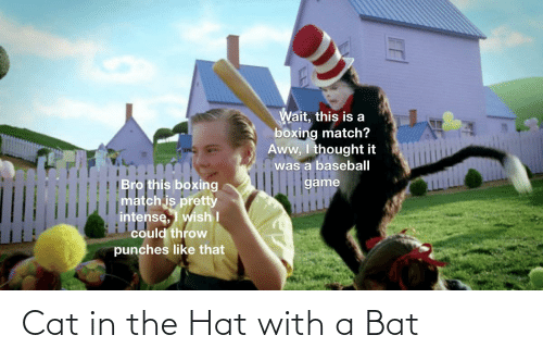 Detail Cat In The Hat Bat Meme Template Nomer 8