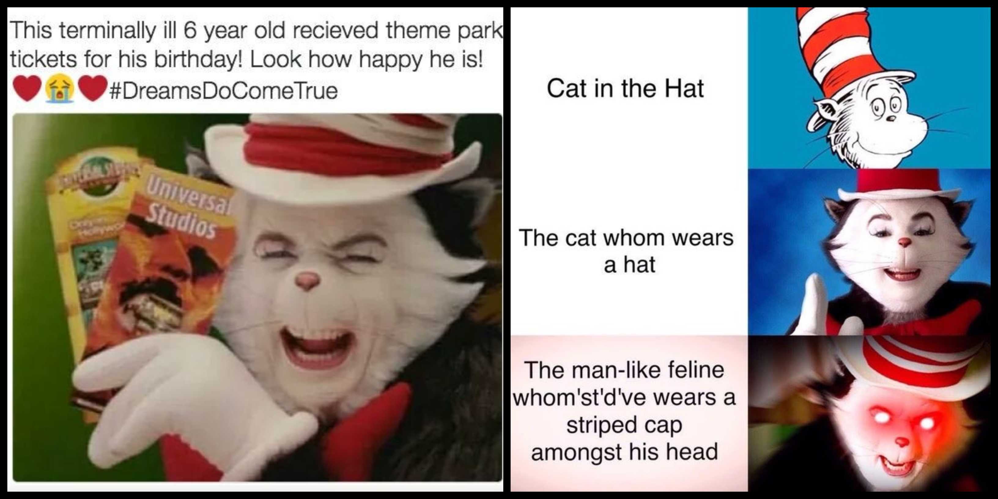 Detail Cat In The Hat Meme Nomer 12