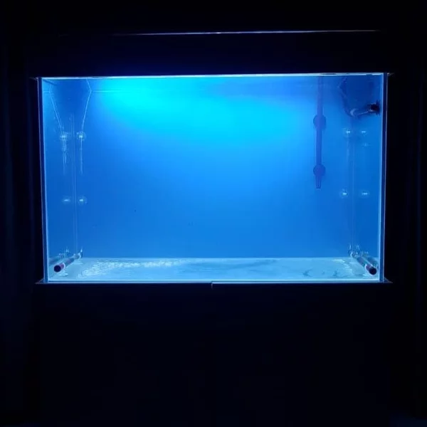 Detail Cat Kaca Aquarium Nomer 27