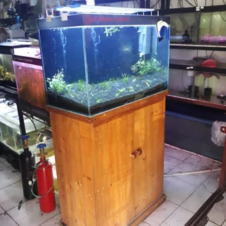 Detail Cat Kaca Aquarium Nomer 28