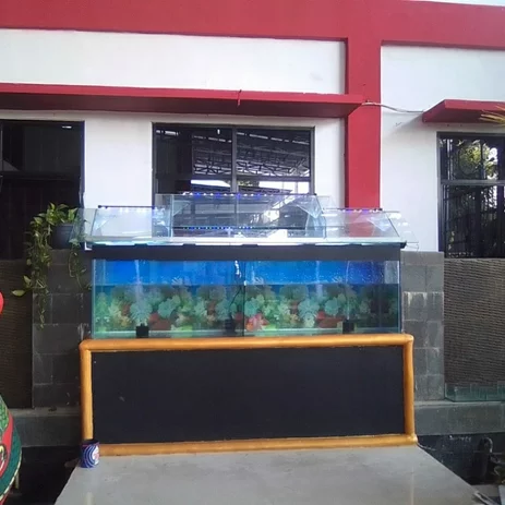 Detail Cat Kaca Aquarium Nomer 45