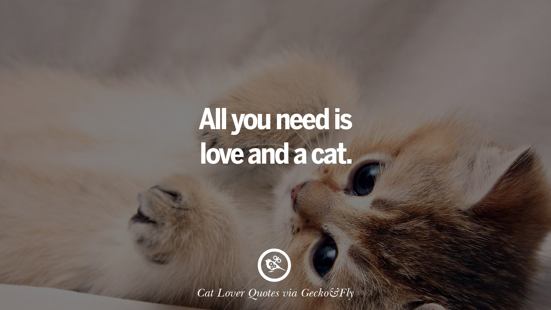 Detail Cat Love Quotes Images Nomer 17