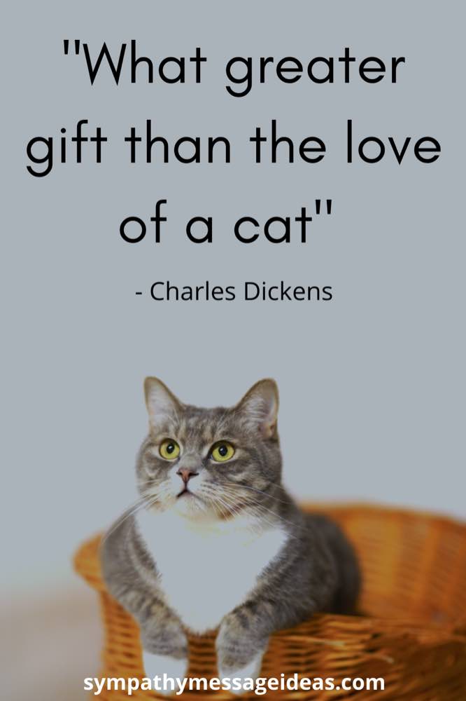 Detail Cat Love Quotes Images Nomer 43