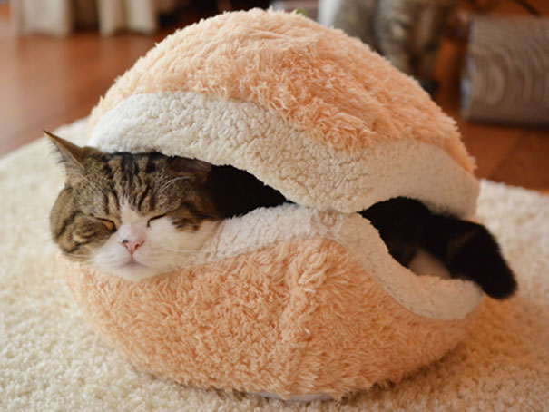 Cat Macaron Bed - KibrisPDR